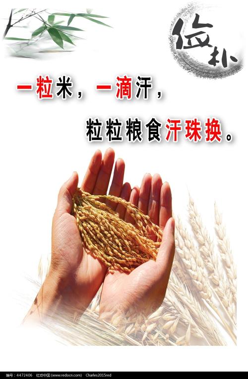 不动产登记查档证明无房